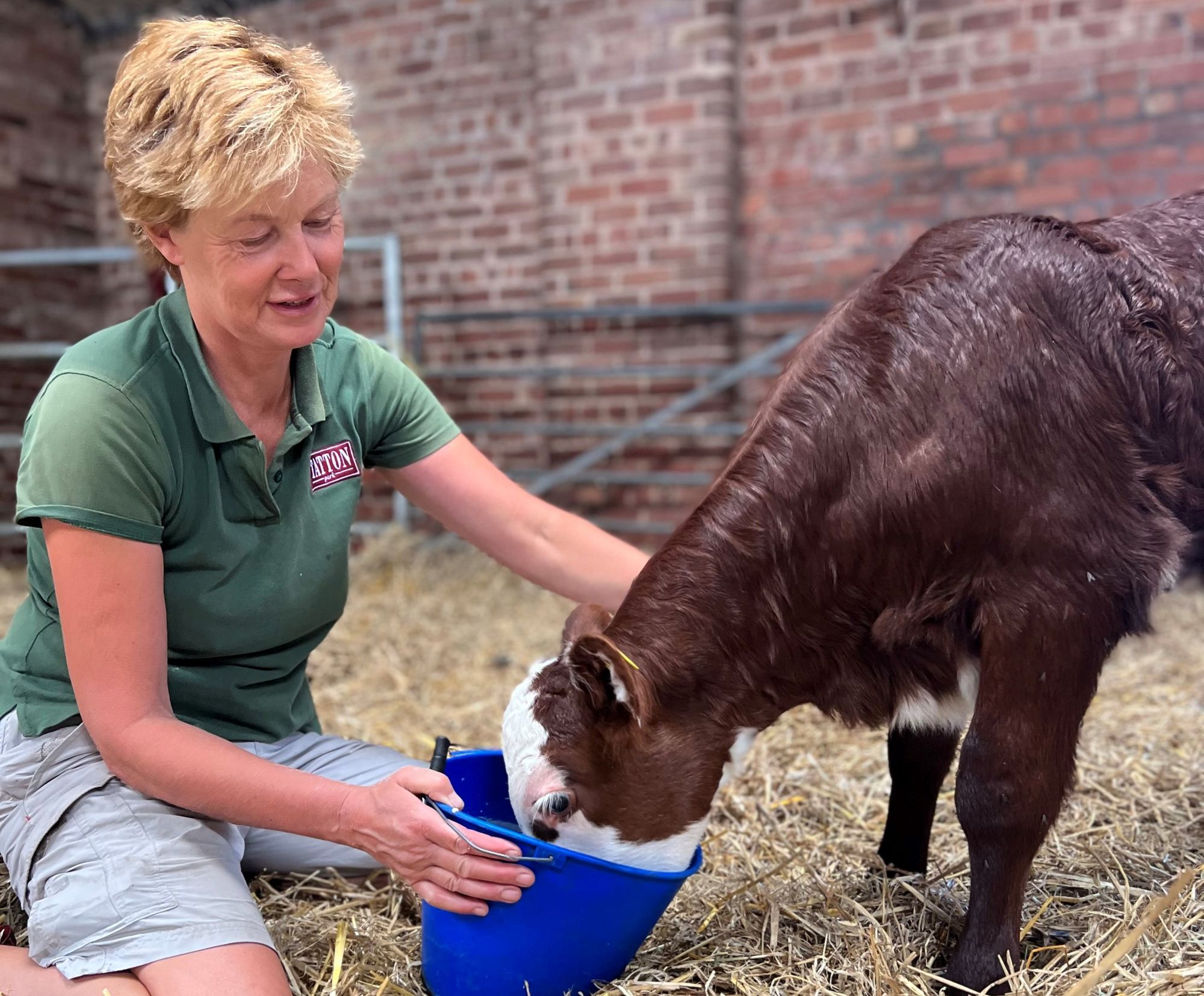 Tatton Park welcome a rare breed baby boom