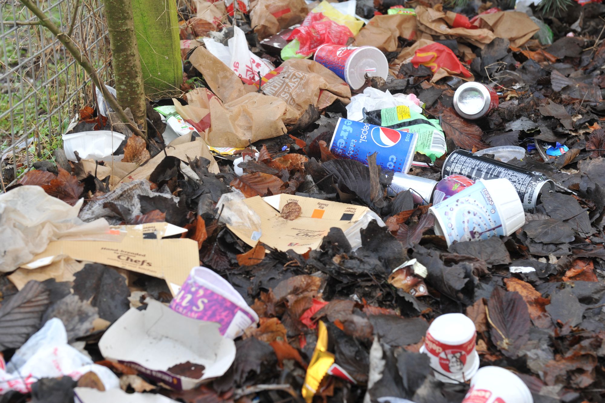 New fast food outlets could be made to clean up litter