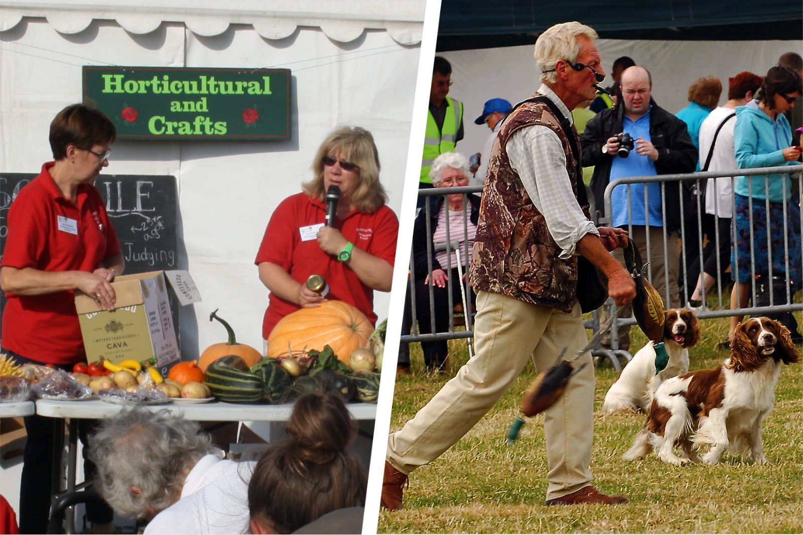 All systems go for Eccleshall Show's return in September