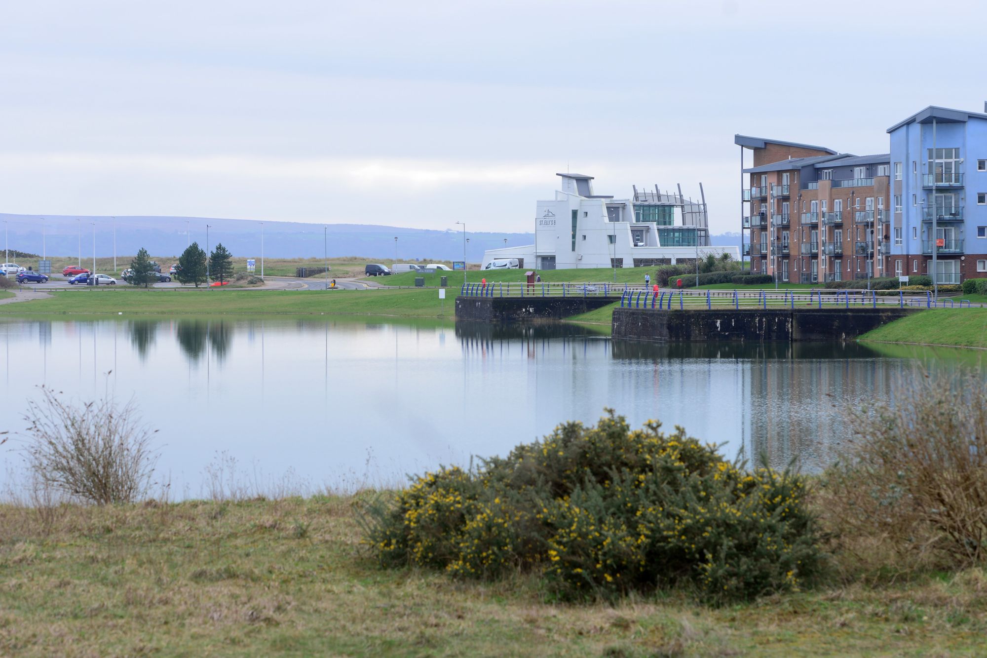 Warning after 'illness-causing' algae found at popular Llanelli beauty spot