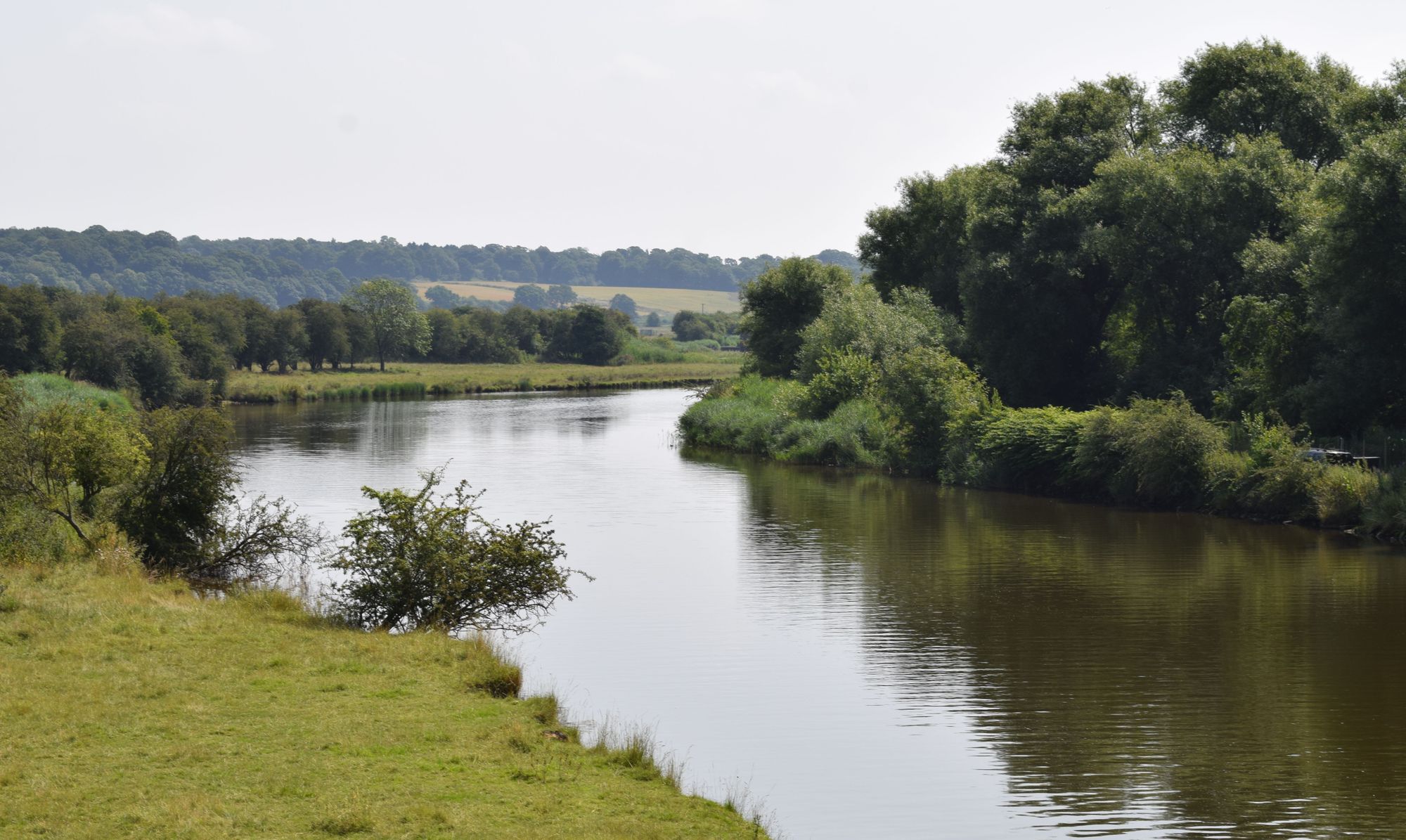 Man pulled from swamp mud by fire crews