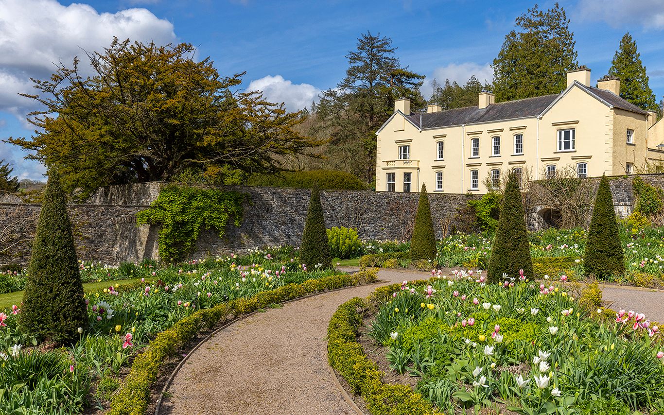 Carmarthenshire’s Aberglasney Gardens to hold Welsh Orchid Festival