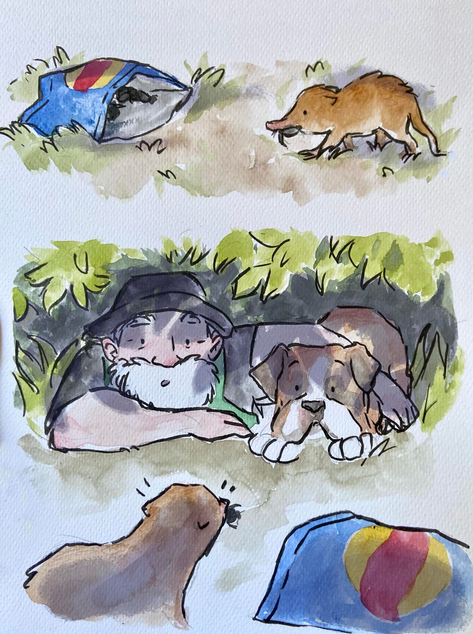 Laughing Badger: Elementary, my dear Reader