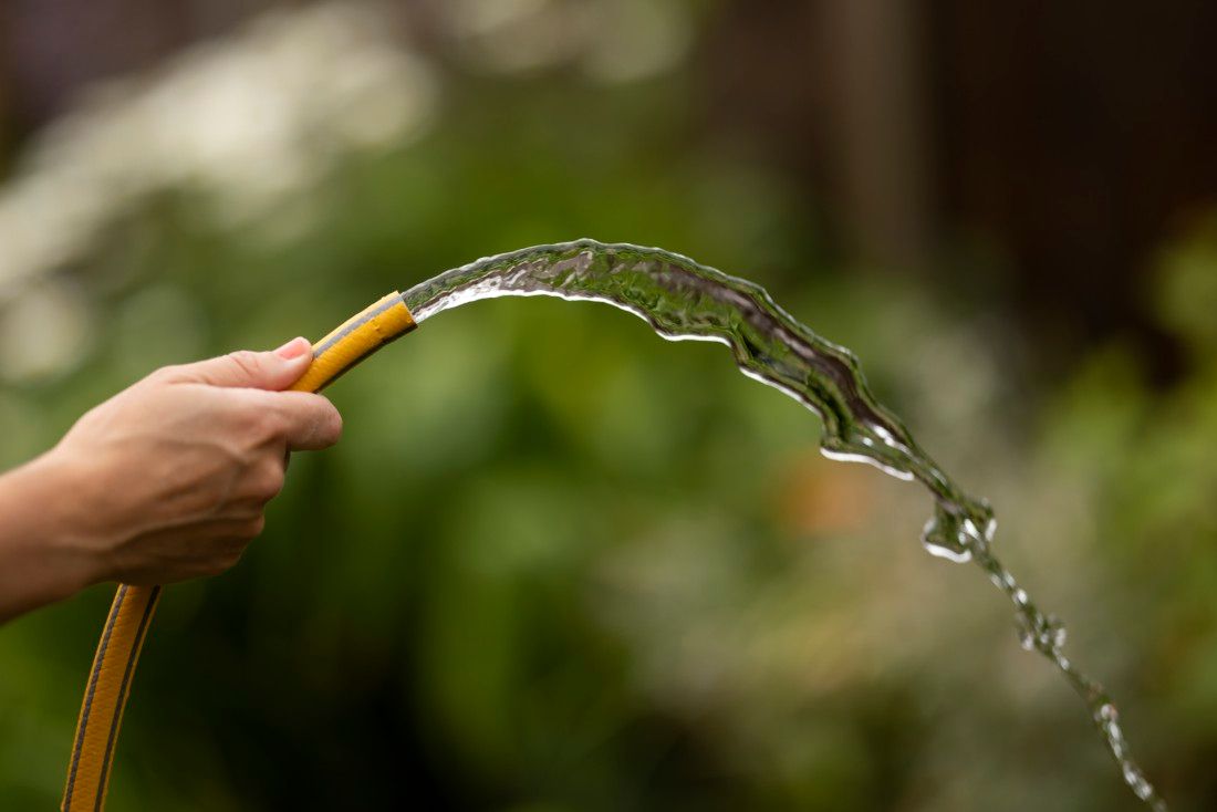 Advice on coping with the Kent hosepipe ban