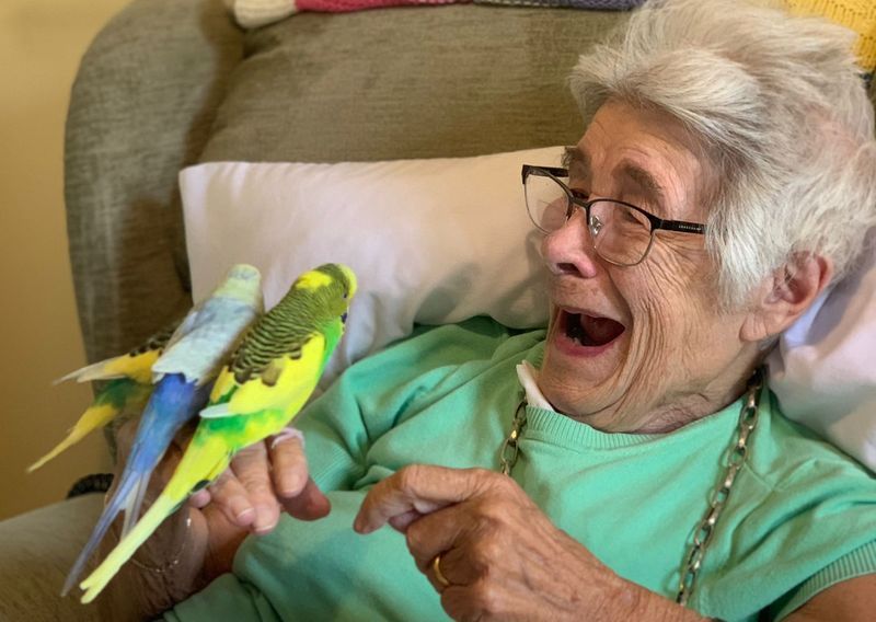 Tweet Tweet: Beautiful birdies land in Hutton Care Home