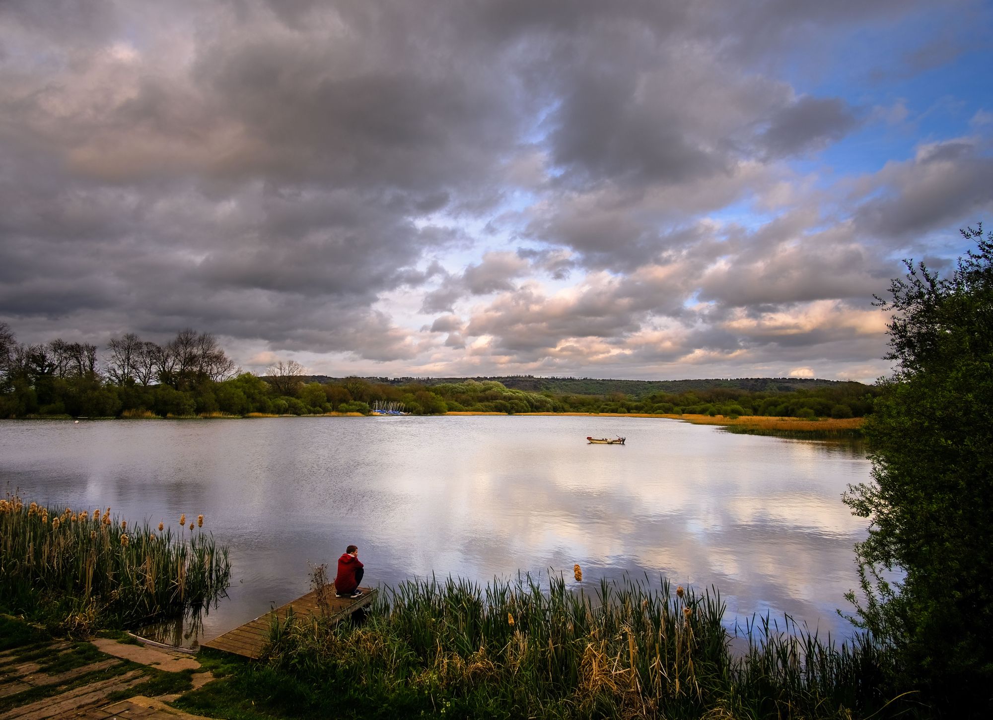 One month left to enter Berkshire wildlife contest for a chance to win a digital camera