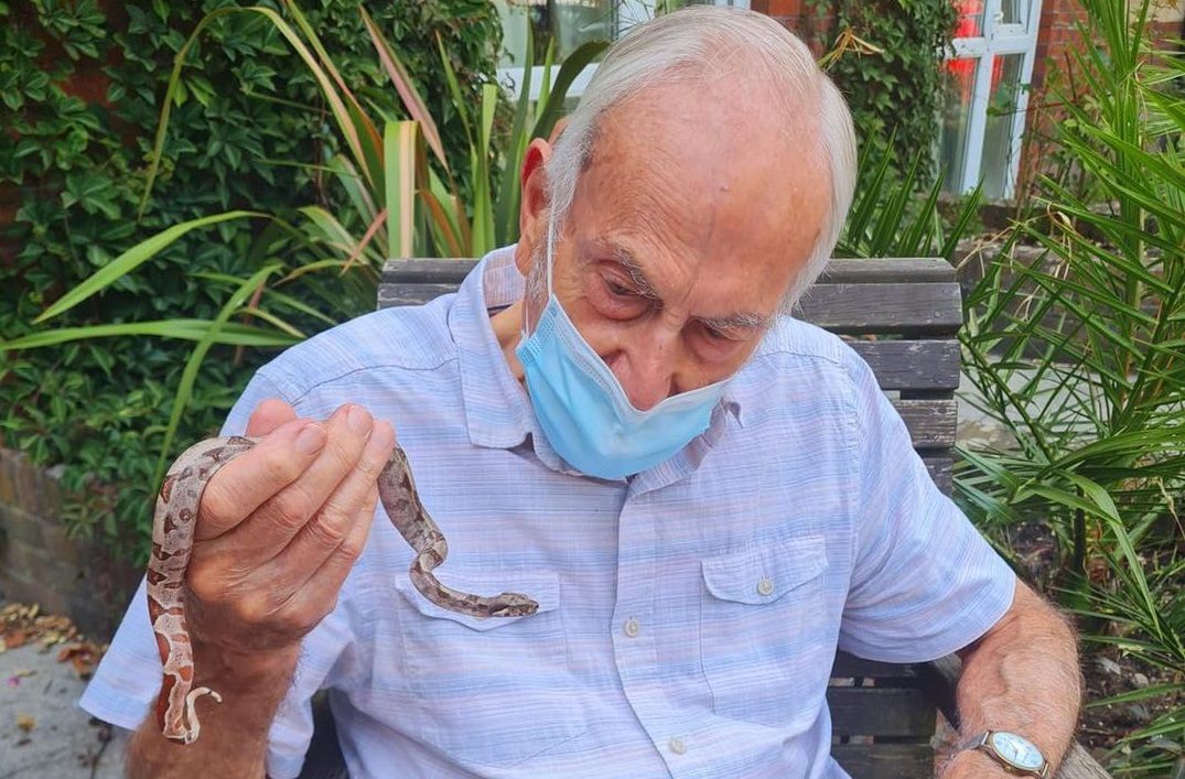 Southampton care home residents go wild for animal therapy session
