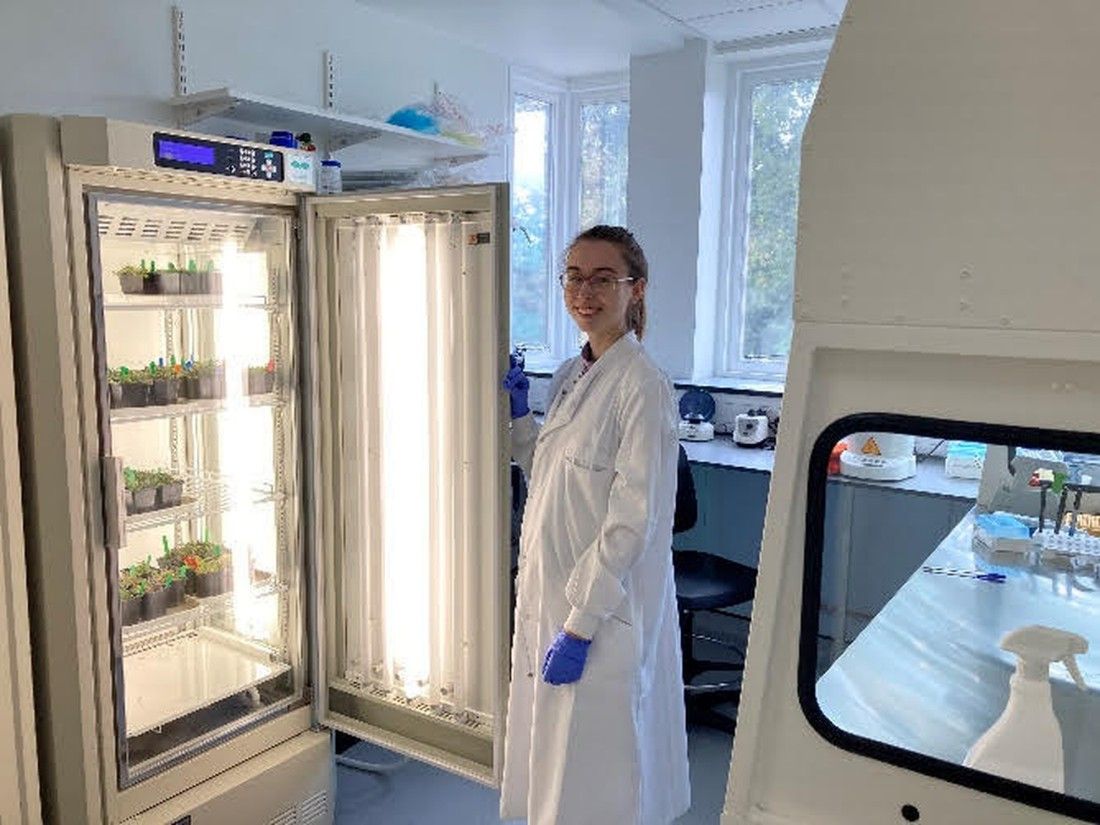 Kent scheme encourages plant-based food and drink research