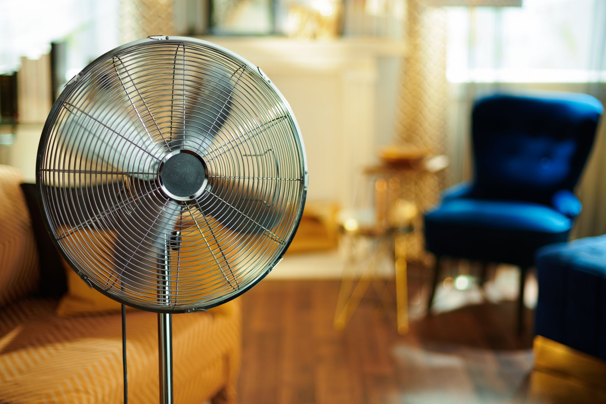 Debunking heatwave myths: What's true and what's false
