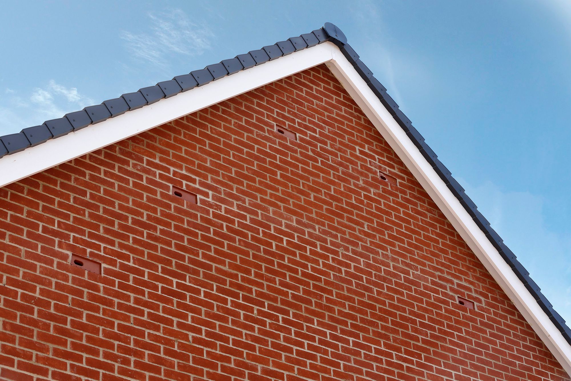 New Leicester homes are for swifts as well as people