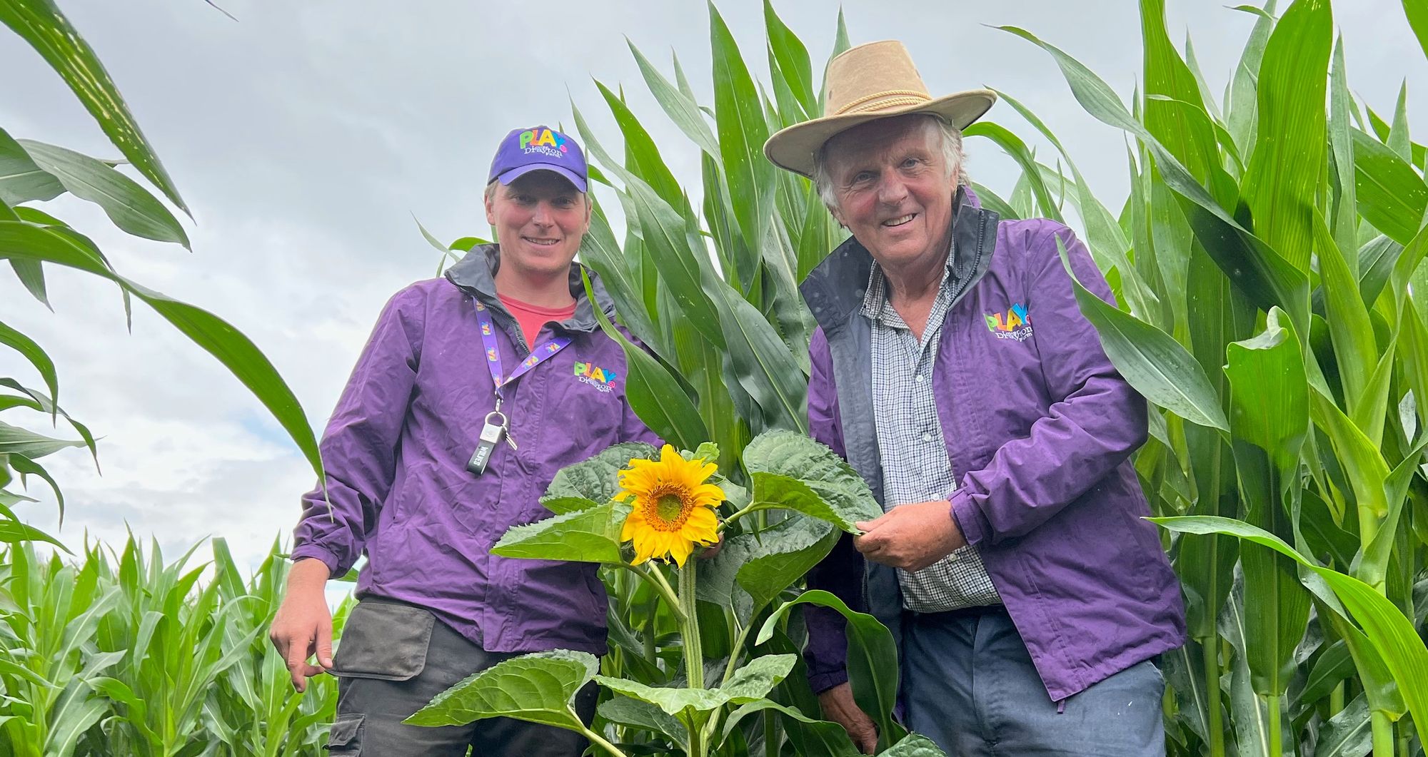 Penkridge's Lower Drayton Farm opens dinosaur-themed 'Maize Maze'
