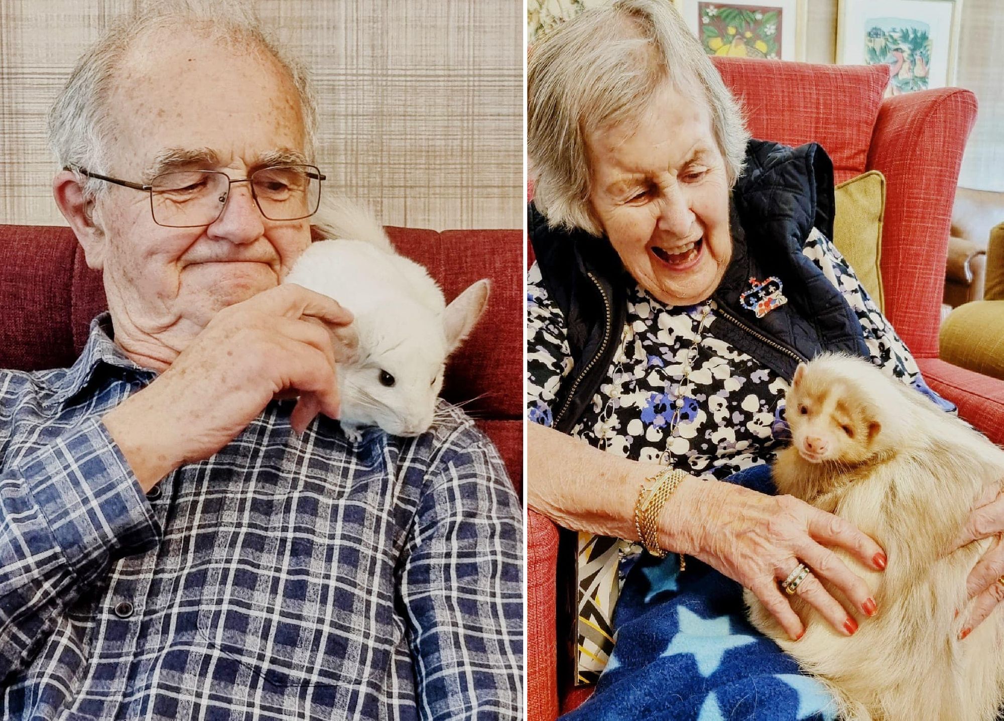 Kingston Vale residents enjoy hare-raising good time with animals