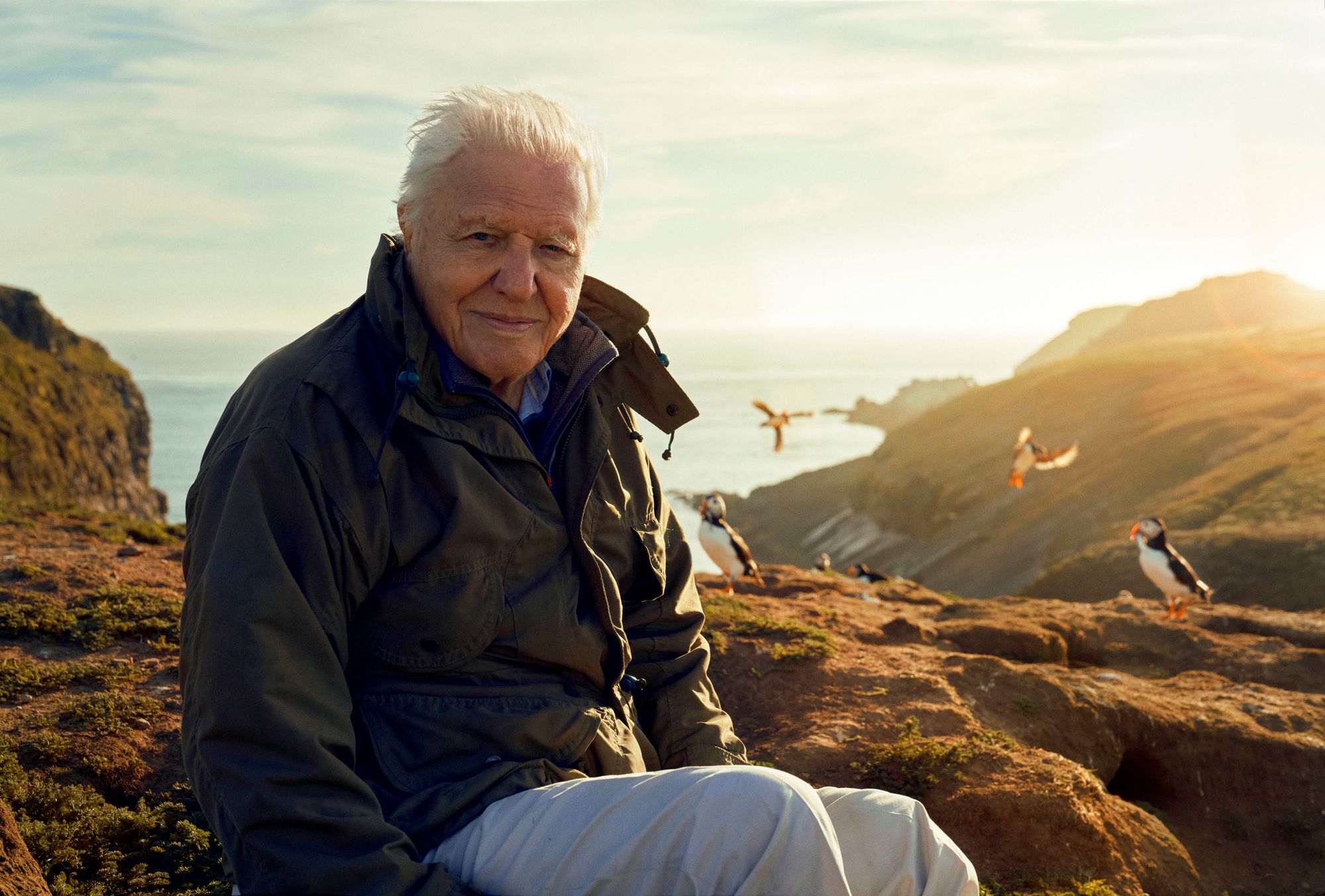 Sir David Attenborough to present BBC series focusing on the British Isles