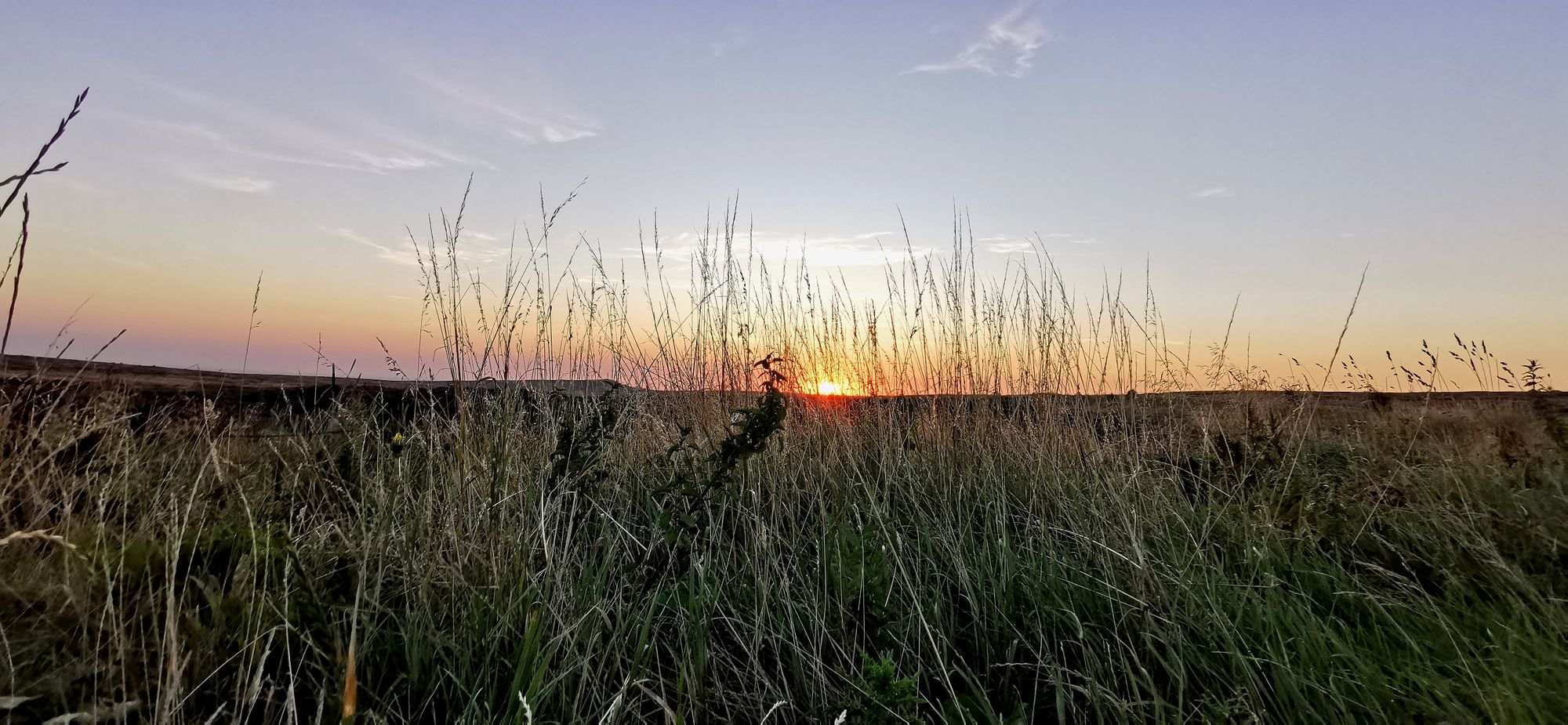 Laughing Badger: Sunrise on The Beast