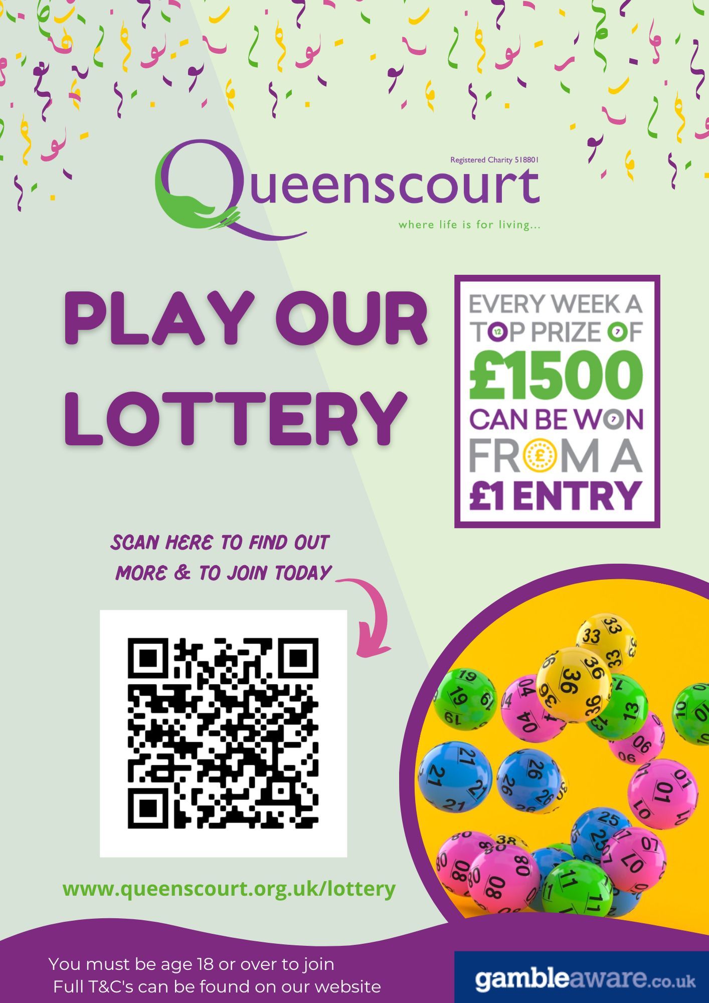Queenscourt column: Could you be a lucky winner with Queenscourt Lottery?