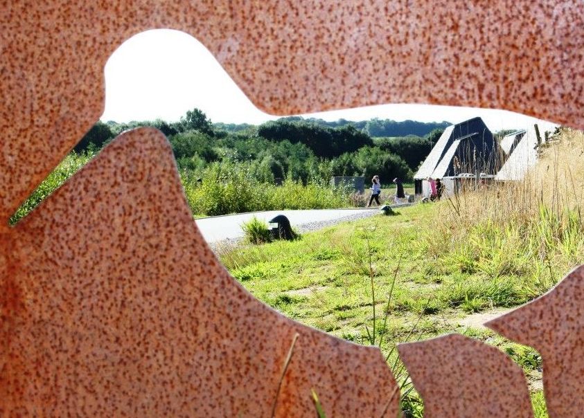 Art competition to celebrate 60 wild years