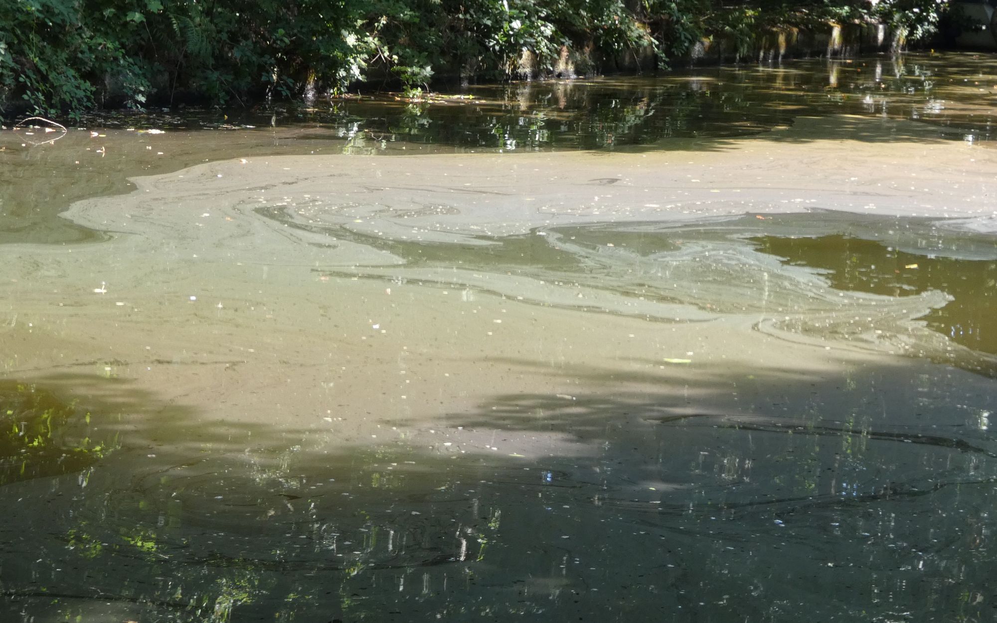 Mile-long oily spill in Runcorn canal