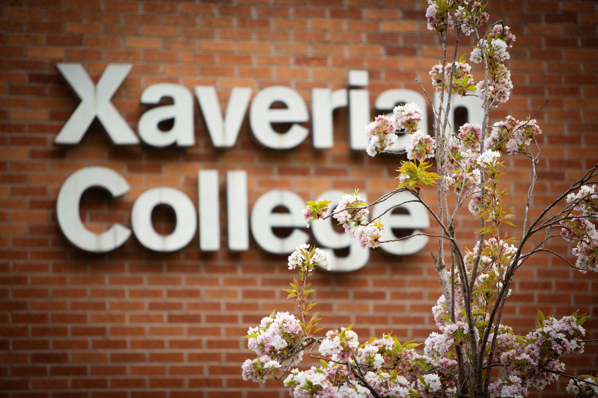 A Level results celebrations for Xaverian College students