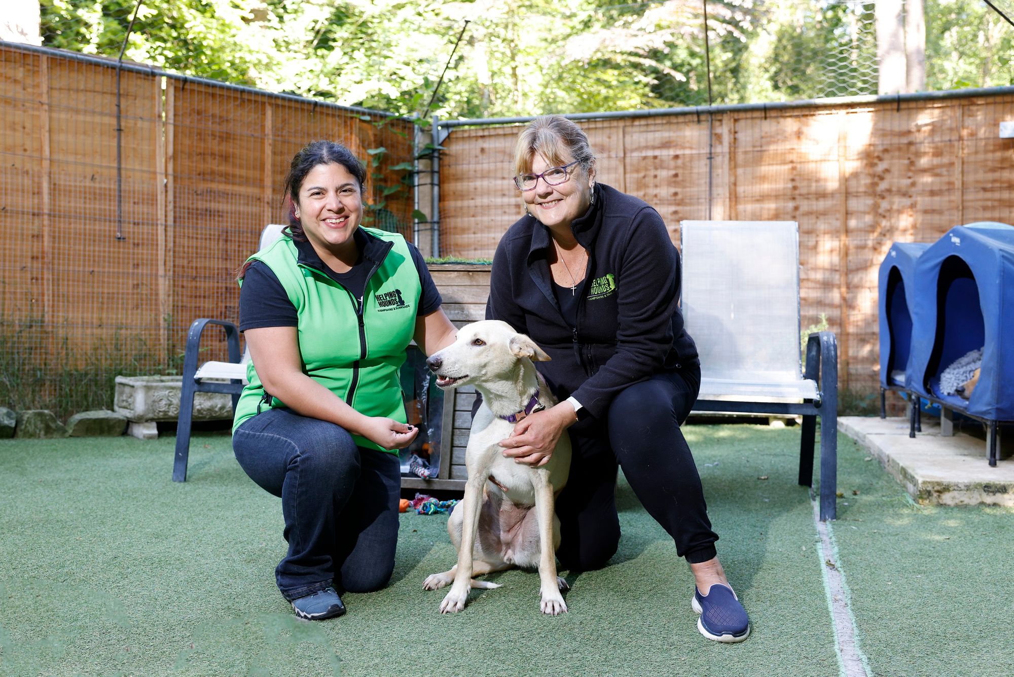 Hampshire dog rescue receives £1,000 donation from housebuilder