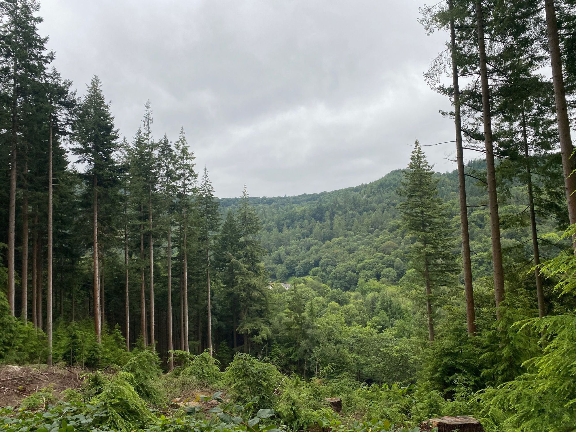 St David's Hospice: Enjoy the autumnal beauty of Snowdonia at the Trail Series