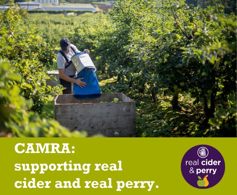 CAMRA column: Consumers back changes to legal definition of cider to help save orchards