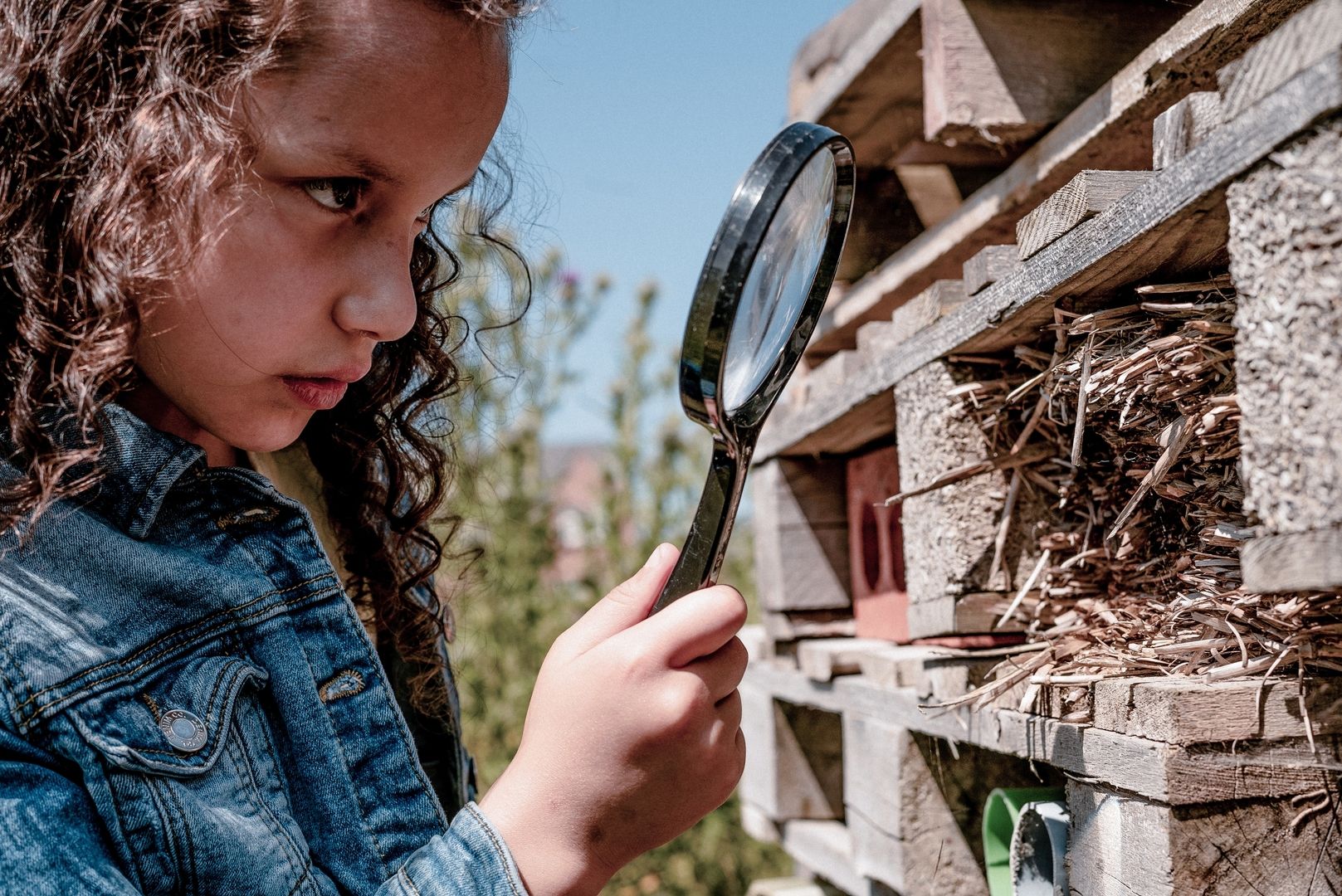 Calling all budding explorers in Oxford