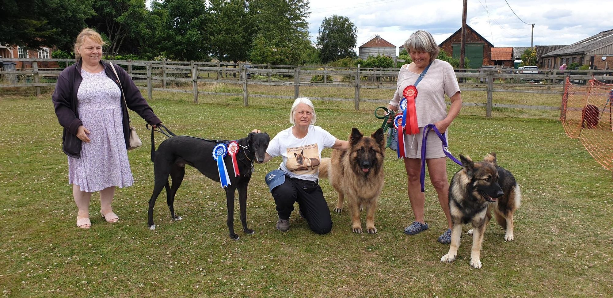 Dogs given spotlight at Ingatestone horse sanctuary open day