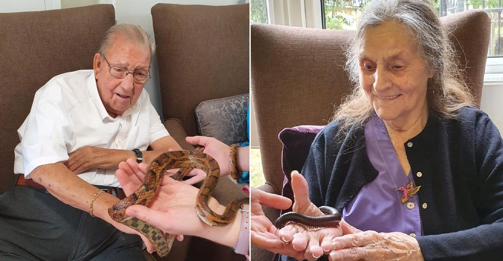 Chislehurst care home residents enjoy exotic animal therapy session