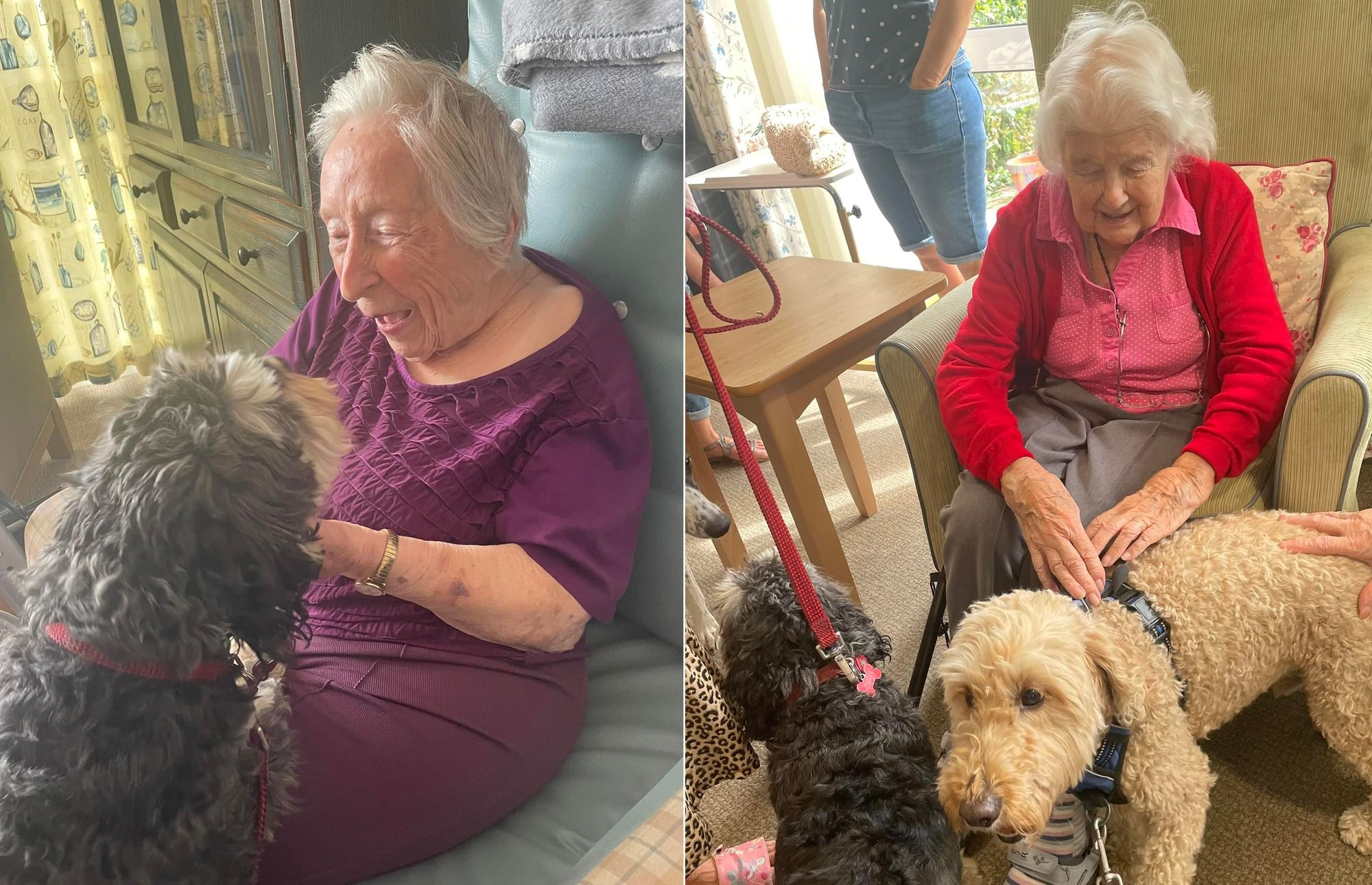 Whitstable care home residents enjoy cuddle club with four-legged friends