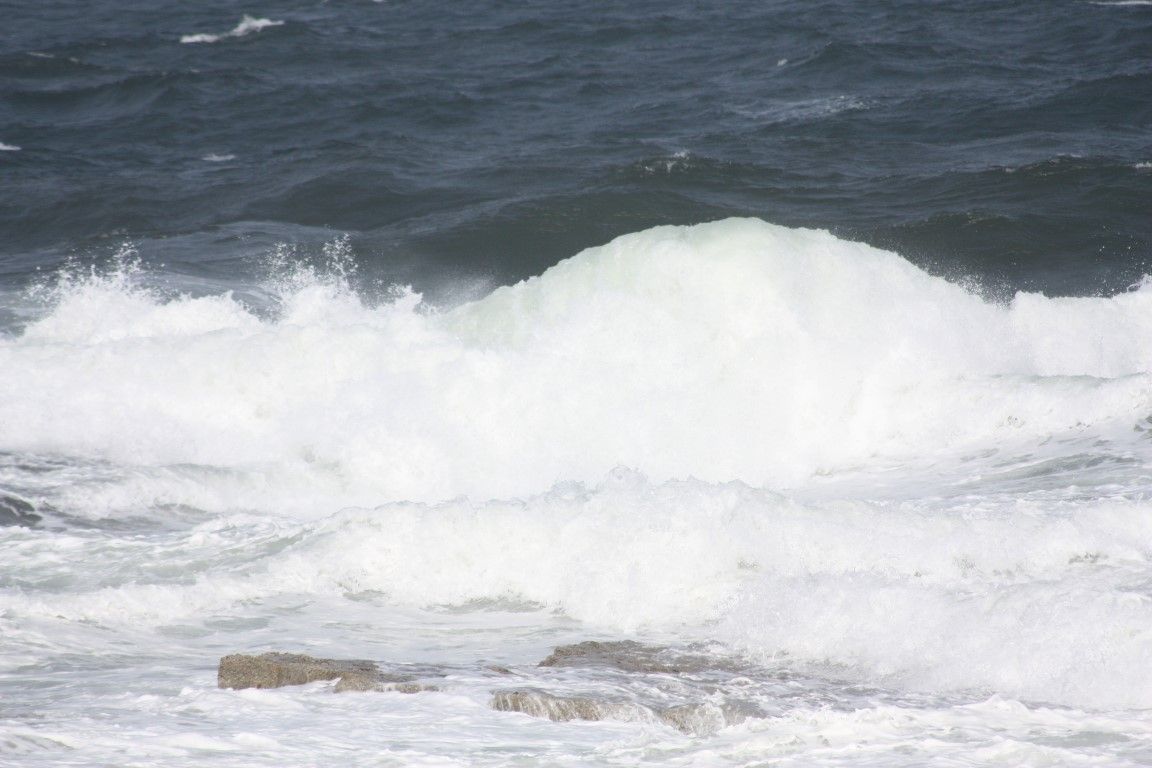 Wildlife: Time to flood dirty polluters with penalties