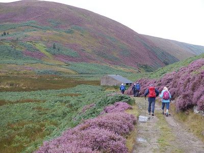 Rossendale Ramblers: Forests, Fells, and friends