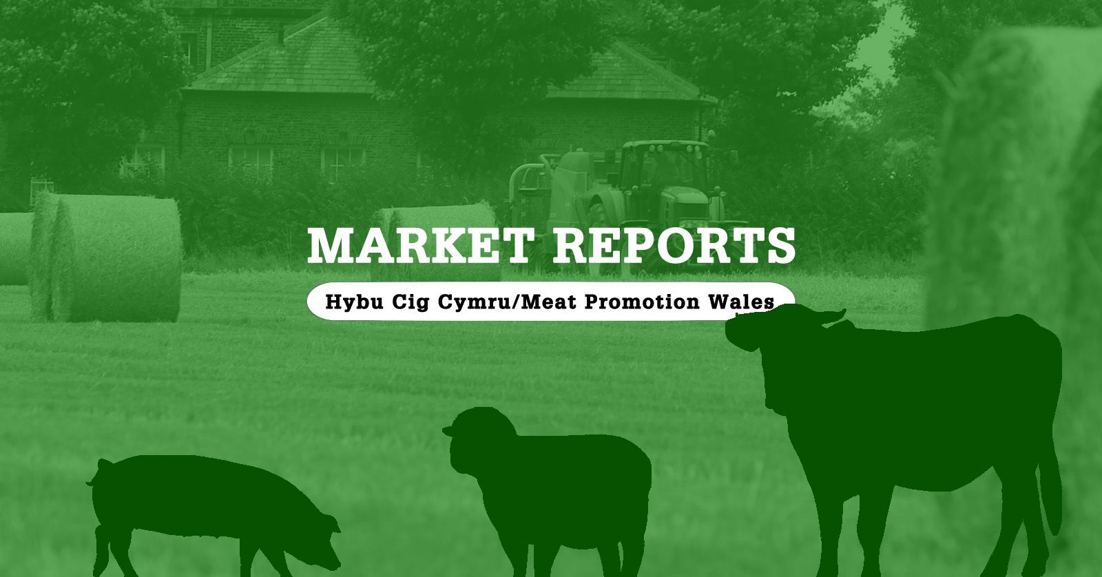 Market Reports: Week commencing Monday, August 22