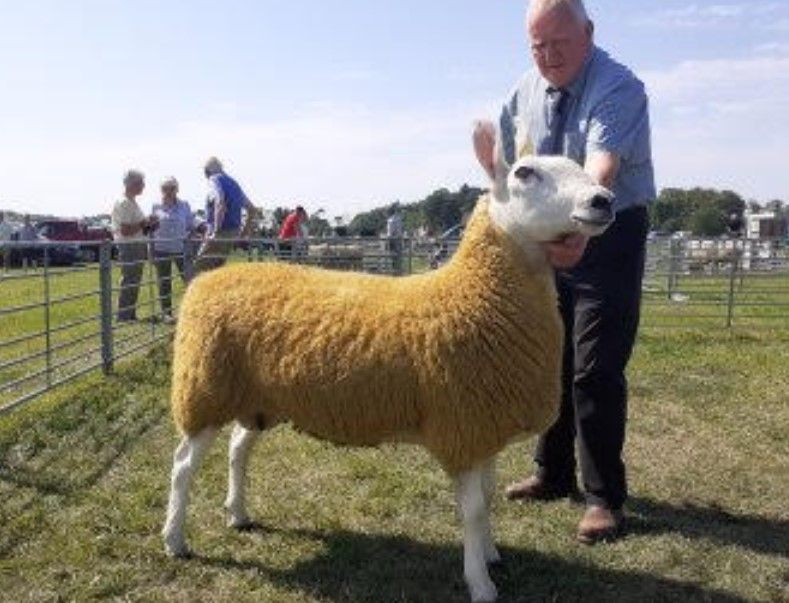 It was animal magic at the Craigie Farmers' Society annual show