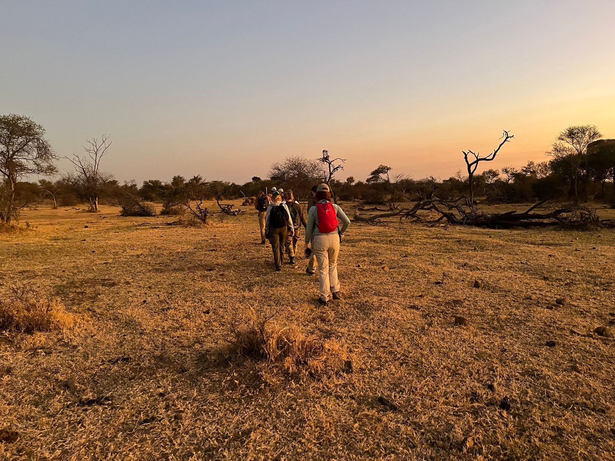 Ellesmere College students visit South Africa to learn about wildlife