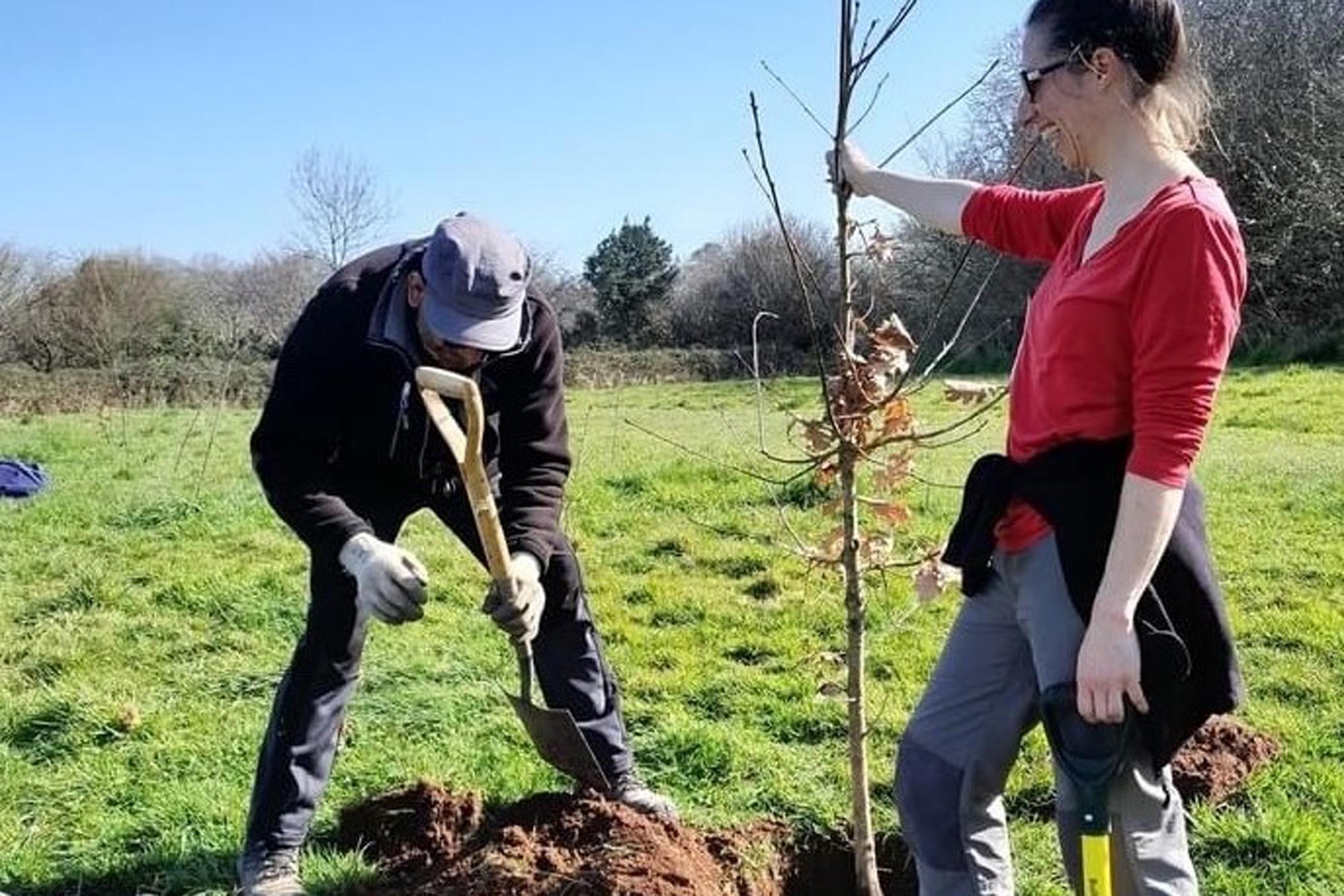 Guardians are needed in Cardiff to care for the 20,000 new trees planted across the city