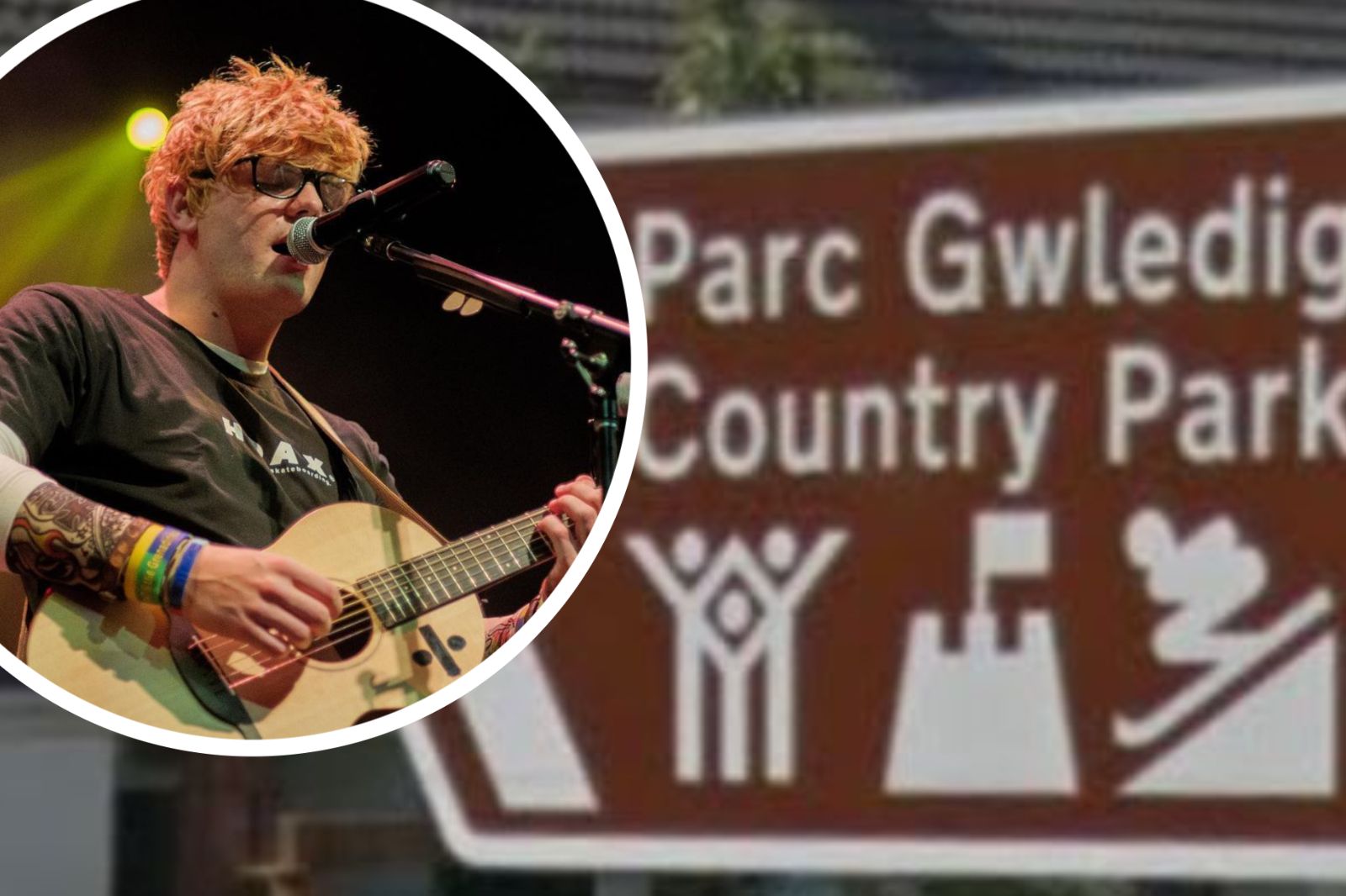 Open air shows return to Pembrey Country Park for August