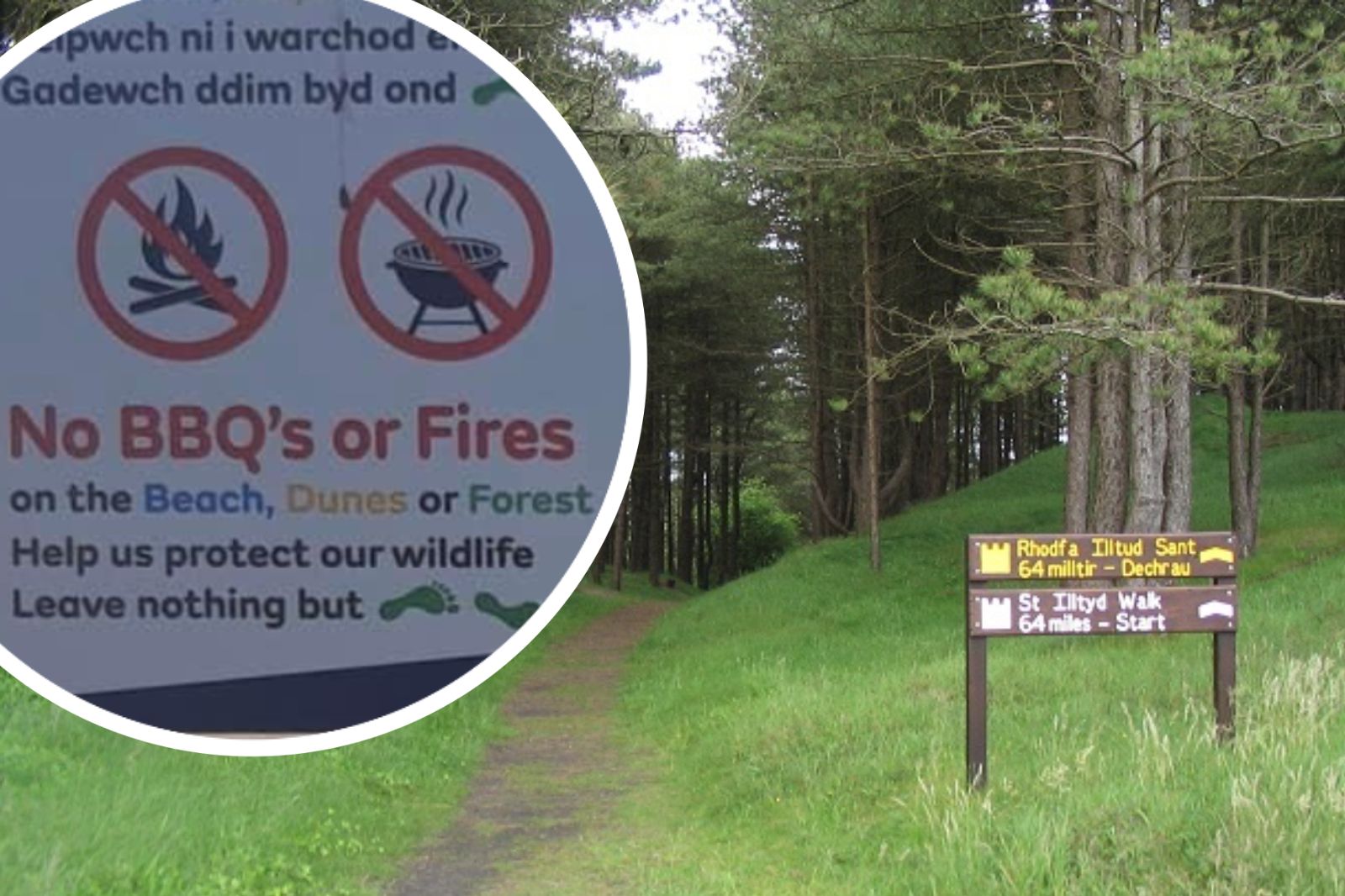 Barbecue and fire ban at Carmarthenshire's country parks and green spaces