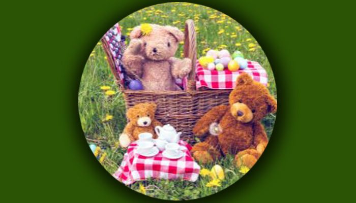 Bring a teddy to Adoption Matters' Teddy Bears’ Picnic this August