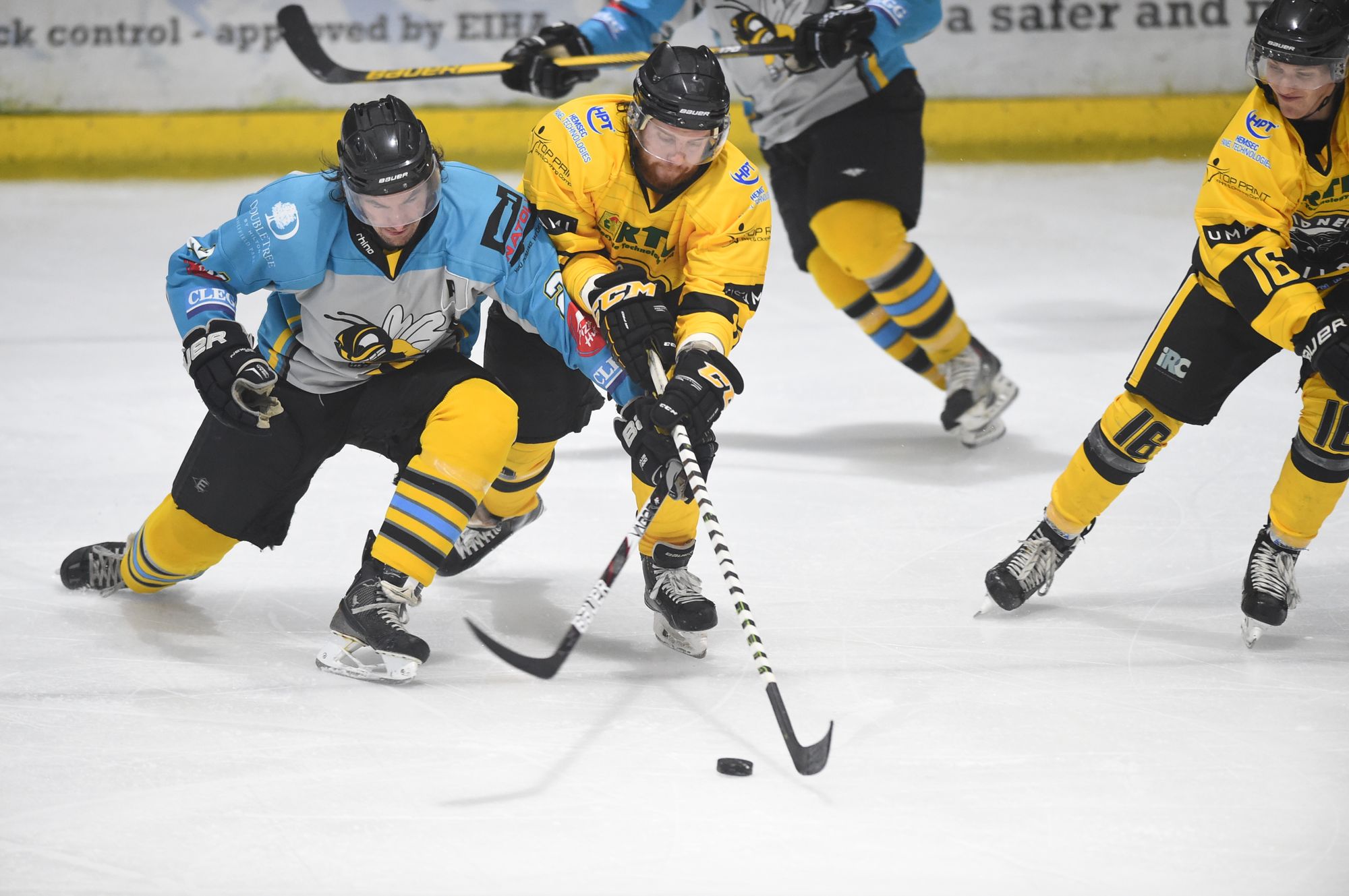 Widnes Wild boost defence with new netminder