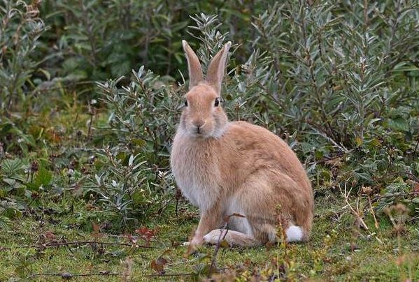 Scene By You Ormskirk - October 6: Pictures of West Lancashire captured by local photographers