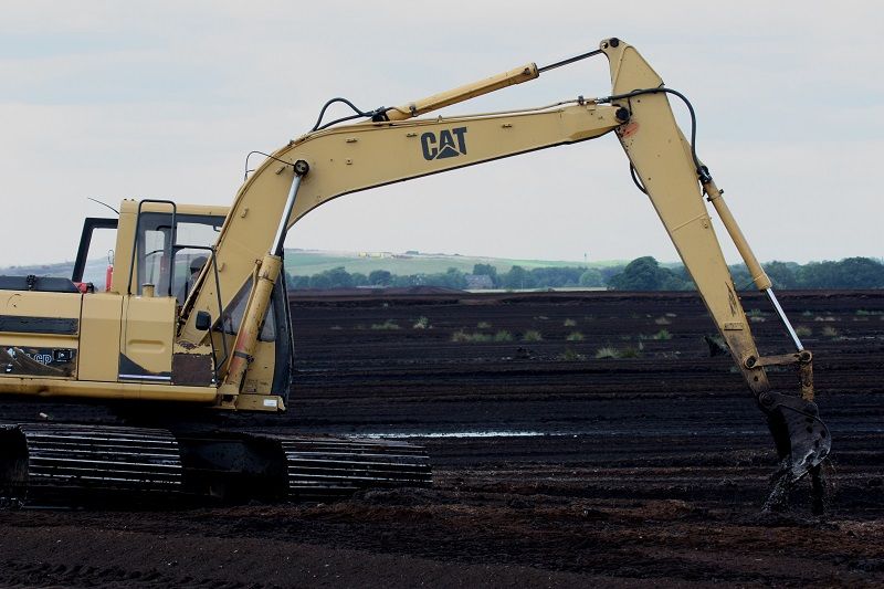 Wildlife: A bog of two halves