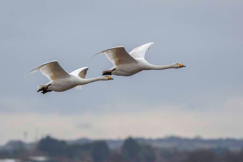 Scene By You Ormskirk - September 22: Pictures of West Lancashire captured by local photographers