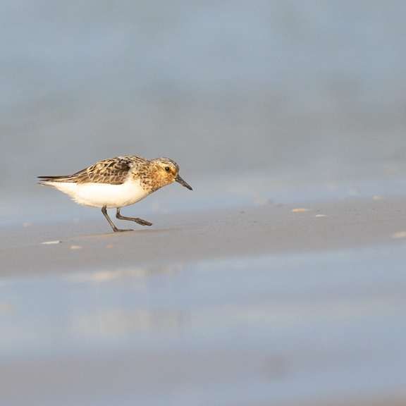 Scene By You Southport - September 8: Pictures of West Lancashire captured by local photographers
