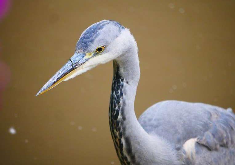 Scene By You Ormskirk - September 29: Pictures of West Lancashire captured by local photographers