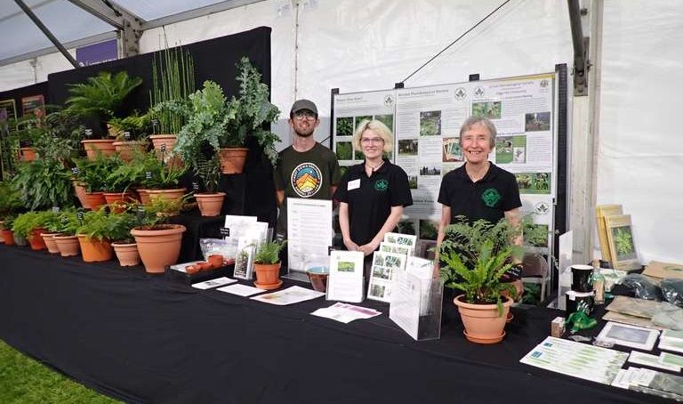 Edge Hill fern enthusiasts win gold at the Southport Flower Show