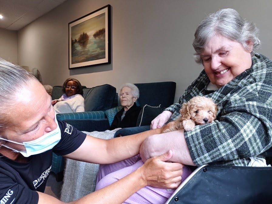 Southgate care home gets a visit from some furry little friends