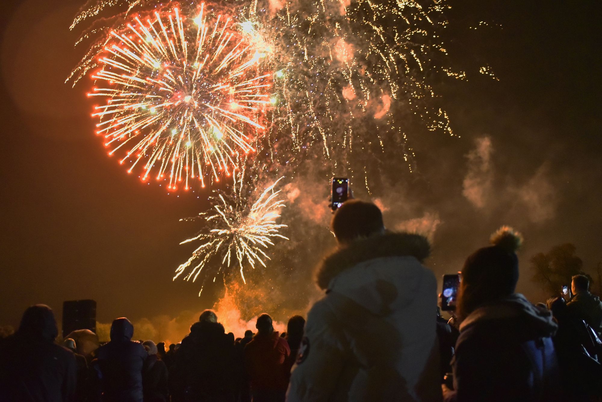 RSPCA Cymru: Ask those planning DIY fireworks displays to consider animals