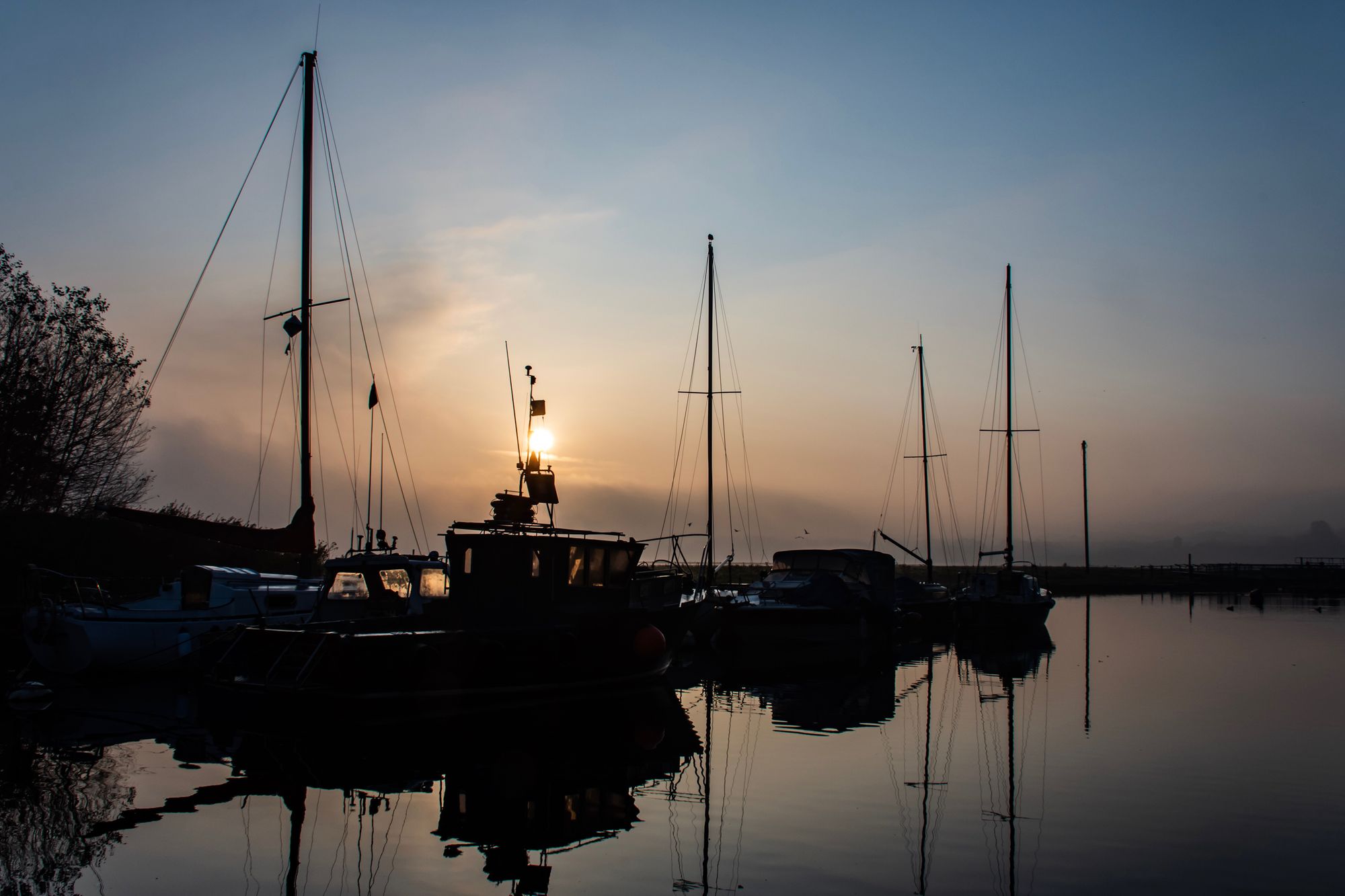 Scene By You: Readers share their pictures taken in Halton