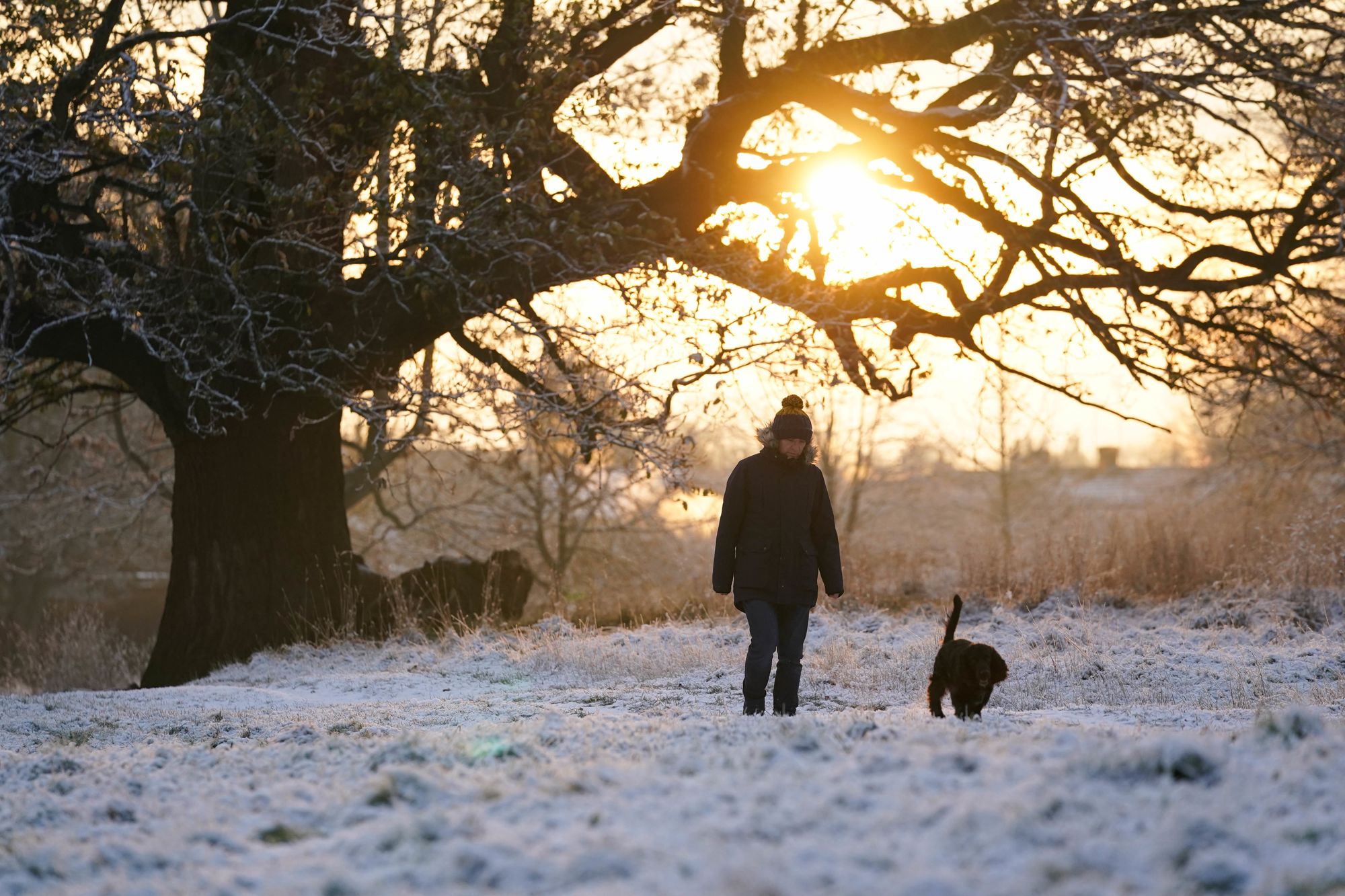 Yellow weather warning for rain in the southeast as snow forecast in Scotland