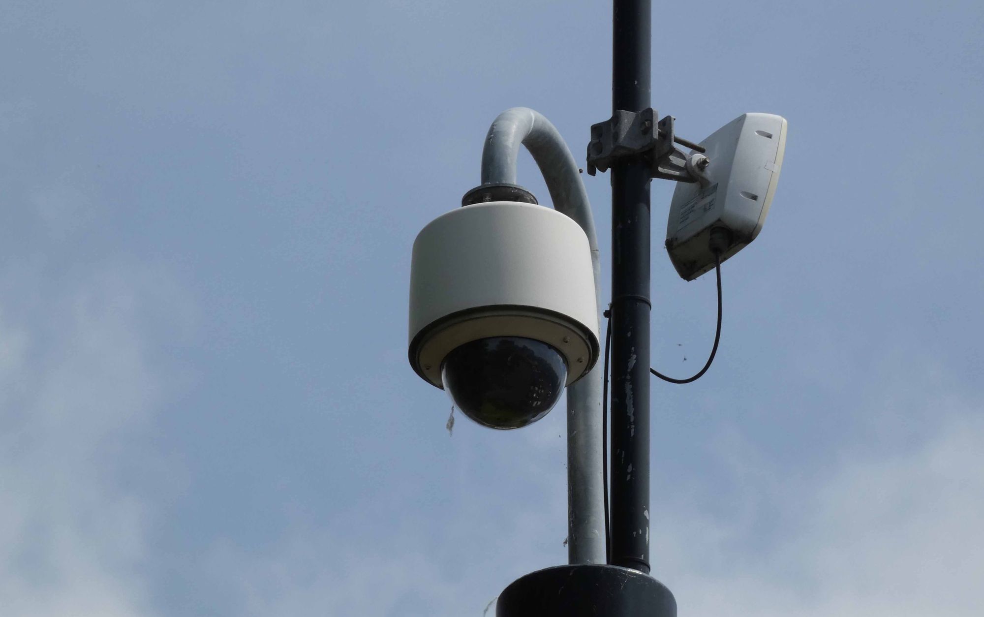 Halton Council to create public safety division amid 'lack of understanding' over remits